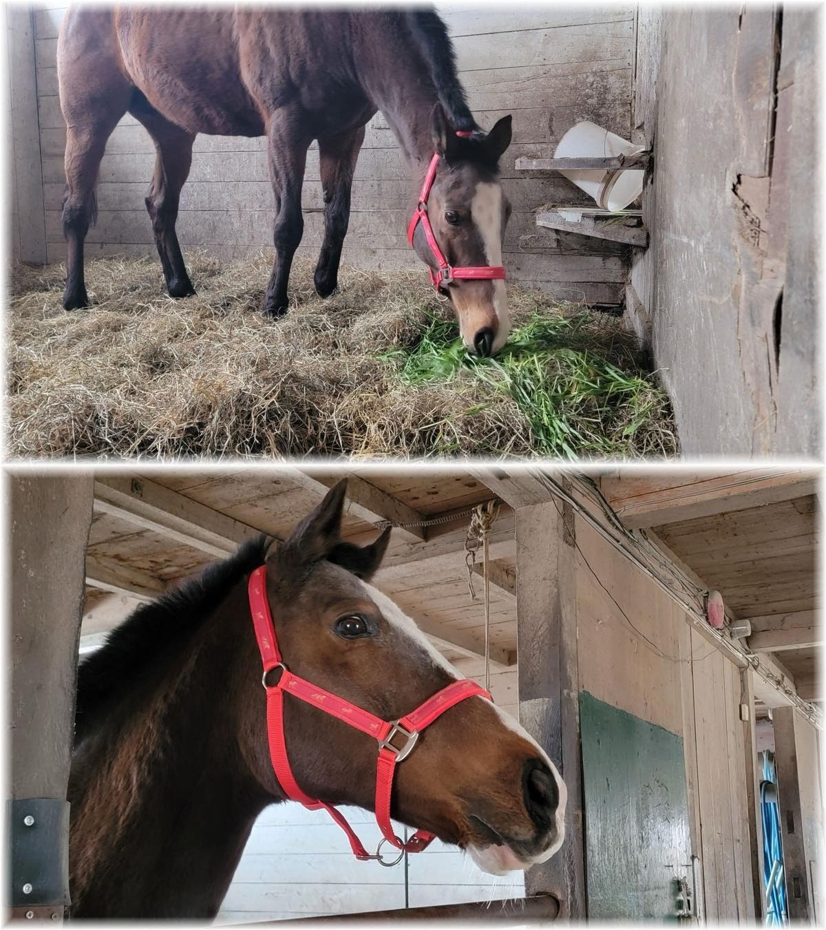 259408050068aeb6e1100a6e2ae66979-1773631174.jpg 259408050068aeb6e1100a6e2ae66979-1773631174.jpg